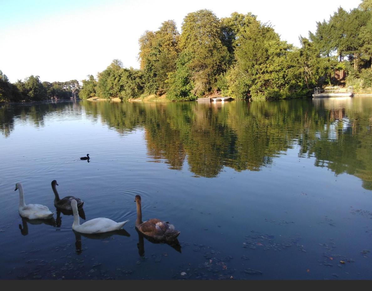 Charme Appartement Entier Pres Paris La Defense Nanterre Suresnes Εξωτερικό φωτογραφία